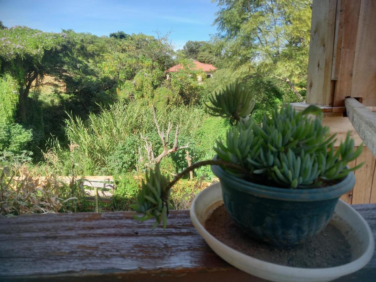 Emmy'S Backpackers Hostel Iringa Luaran gambar